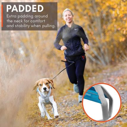 Non-Stop Dogwear Freemotion Harness 5.0 Dog Pulling Harness for Sports like Runn