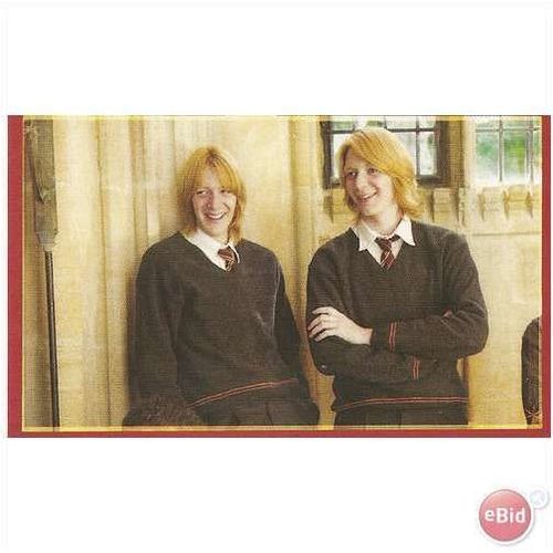 Panini's Magical World of Harry Potter Sticker No. 20