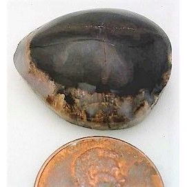 Petrified Wood Freeform Gemstone Cabochon 26