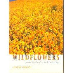 Wildflowers