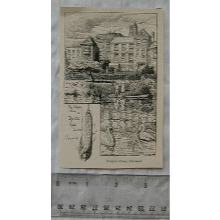Vintage engraving - Walpole House, Chiswick