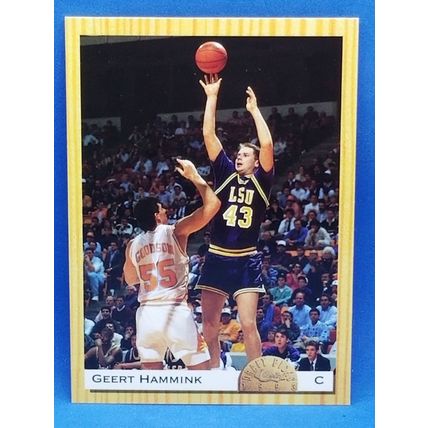1993 Classic #38 Geert Hammink