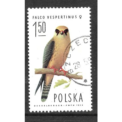 POLAND 1975 1z.50 WESTERN RED FOOTED FALCON FEMALE SG 2344 FINE USED #5