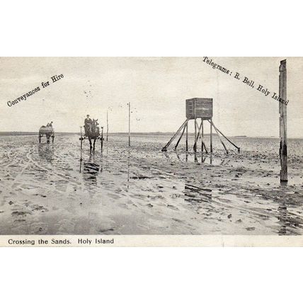 Crossing the Sands - HOLY ISLAND - Northumbria 1911 Original Postcard (84T)