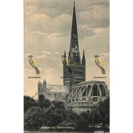 Norwich Cathedral, Norfolk, W & K Postcard, 1905
