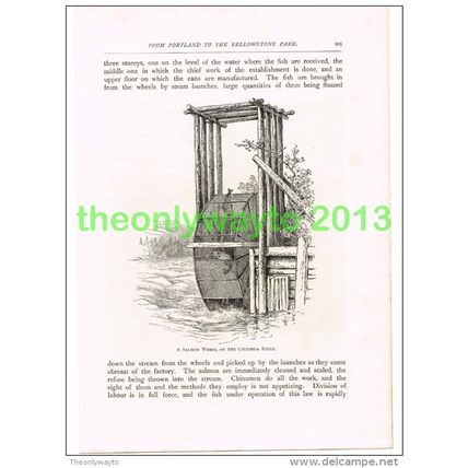 SALMON WHEEL ON COLUMBIA RIVER, PACIFIC NW USA, BOOK ILLUSTRATION (PRINT) 1891