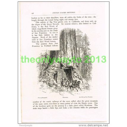 WAWONA TREE, YOSEMITE, CALIFORNIA, USA, BOOK ILLUSTRATION (PRINT) 1891