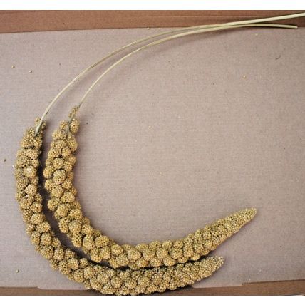 QUALITY BUSHY MILLETS SPRAYS IDEAL FOR CAGE, AVIARY & WILD BIRDS, GERBILS & MICE