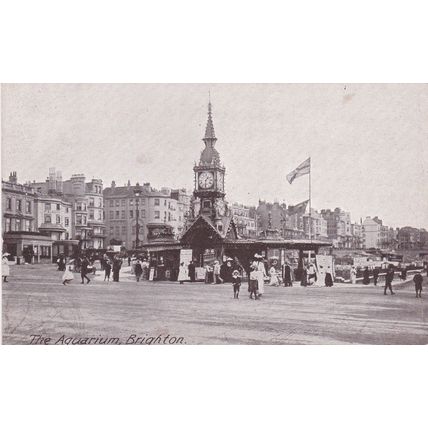 B623 BRIGHTON - THE AQUARIUM . PRINTED POSTCARD