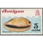 Antigua 1972 Shells 5c measled cowrie Unmounted Mint NHM SG 320 Sc 289 stamp