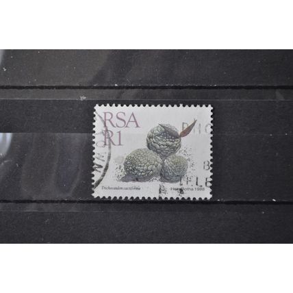 SOUTH AFRICA SG 0667 USED #1