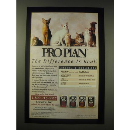 1998 Purina Pro Plan Cat Food Ad - Pro Plan The difference is real