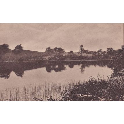 Whitemere Lake Beautiful Reflection Dover Antique Postcard