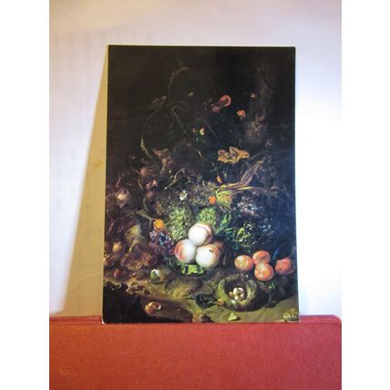 FRUITS, FLOWERS & INSECTS by Rachele Ruysch unused postcard art #