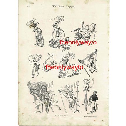 A Little Spin (Cycling), Humour (Comic Pics On Reverse), Book Illustration 1893