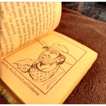 Big Little Book Lone Star Martin Of The Texas Rangers By Peter A. Wyckoff 1939