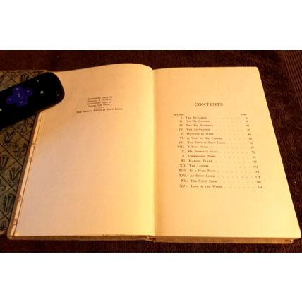 The Bobbsey Twins At Snow Lodge 1941 By Laura Lee Hope Great Shape