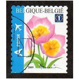 BEL 2009 (90c) (S/A) 'FLOWERS -TULIP' FINE USED (EBID16162)