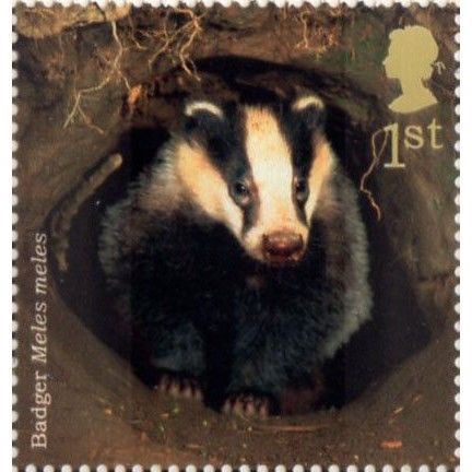 Great Britain 2004 Woodland Animals 1st Badger Unmounted Mint NHM SG 2481 stamp
