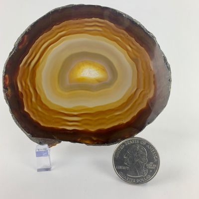 Agate Slice | 70-100mm | Brazil[ ]