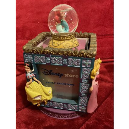 A Beautiful Disney Store Princess Photograph Frame
