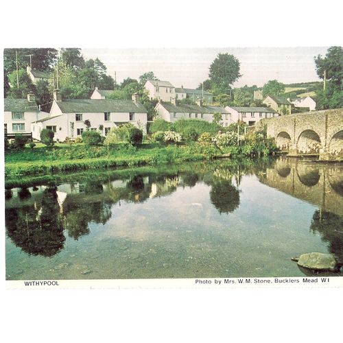 WITHYPOOL. Bucklers Mead W.I. unused vintage postcard Somerset W.I. =
