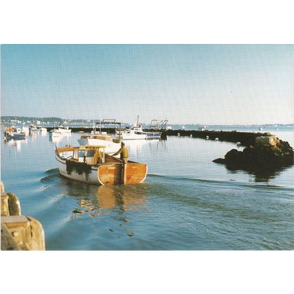 6x4 Continental size printed postcard Fisherman's Dock Poole Dorset