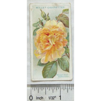 1912 Wills Roses No. 16 William Allen Rychardson