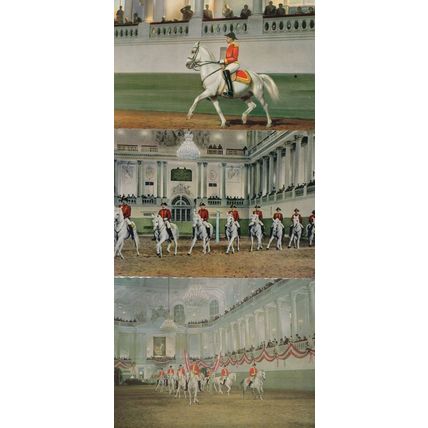 Spanish Riding School Wien Austria 3x Painting Horse Postcard s