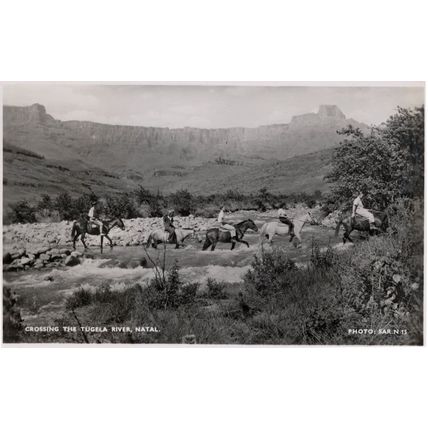 Crossing The Tugela River Western Cowboy Style Natal Africa RPC Postcard