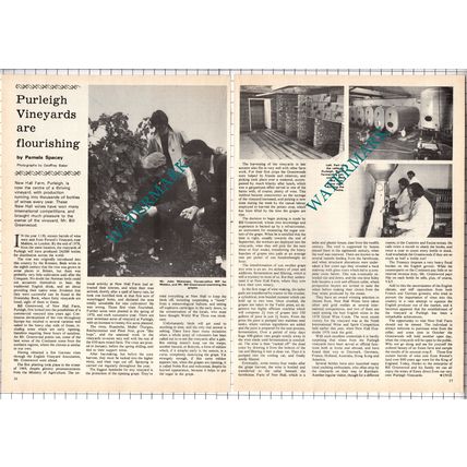 New Hall Farm Purleigh Essex Vineyards Mr Bill Greenwood - 1978 Article