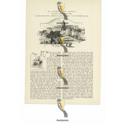 Treport, France, Book Illustration (Print), 1892