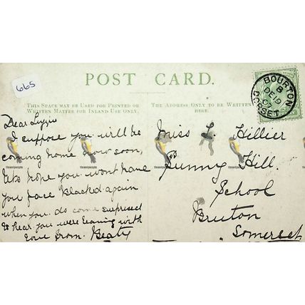 Stourhead, Wiltshire, Rare F Holmes Postcard, 1907