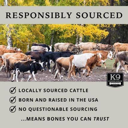 K9 Connoisseur Beef Lung Dog Training Treats All Natural & Lean, USA Made Single