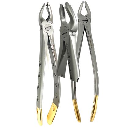 2Pcs German Premium Dental Extracting Forceps F1 Upper Universal with Gold Handl