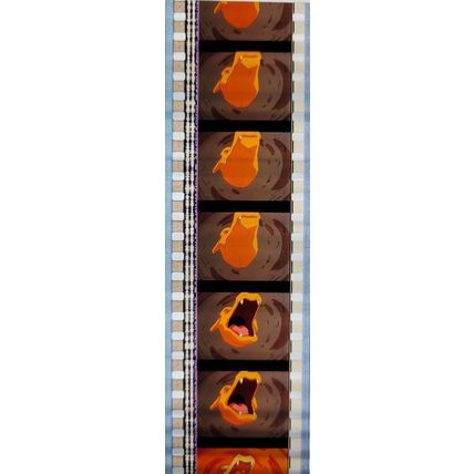 Pokemon . Pk VVE - C056d . 1 STRIP OF 5 - 35MM FILM CELLS