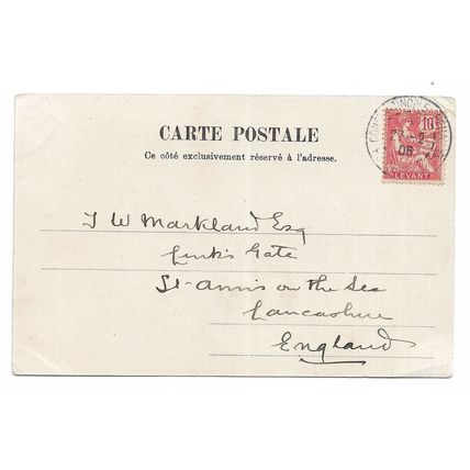 Postcard Turkey Salut de Constantinople stray dogs 1906 French Levant stamp