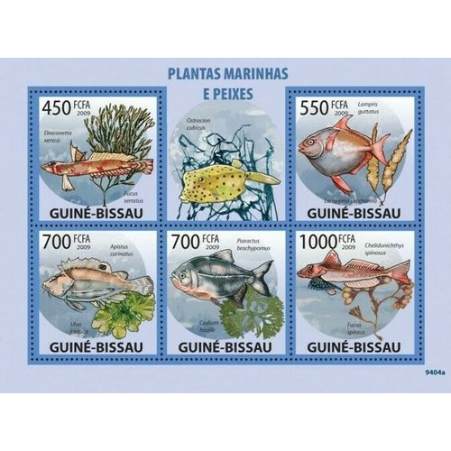 GUINE BISSAU 2009 SHEET MNH MARINE PLANTS FISHES POISSONS PEIXES MARINE LIFE 4