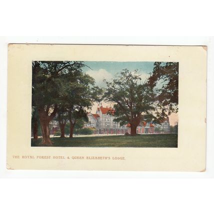 The Royal Forest Hotel & Queen Elizabeth's Lodge Chingford Postcard Essex