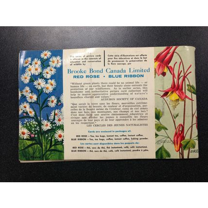 1960 Brooke Bond Album 3 Red Rose Tea 48 Cards Full Booklet Wild Flowers of NA