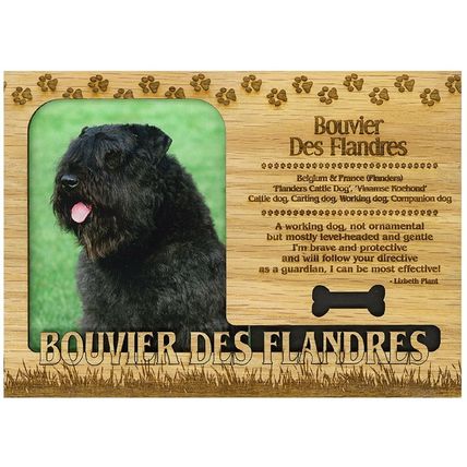 Bouvier Des Flandres Engraved Wood Picture Frame Magnet