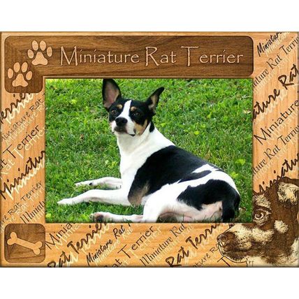 Miniature Rat Terrier Laser Engraved Wood Picture Frame (5 x 7)