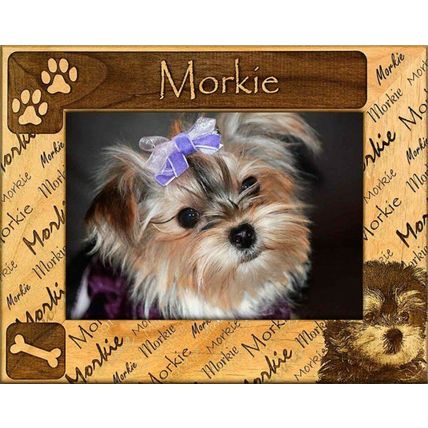Morkie Laser Engraved Wood Picture Frame (5 x 7)