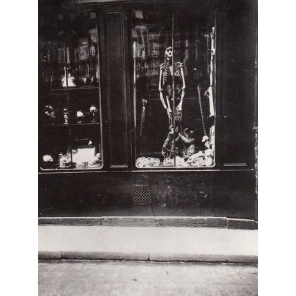 Chemist Old Skeleton Dangling School Of Medicine Photo Postcard