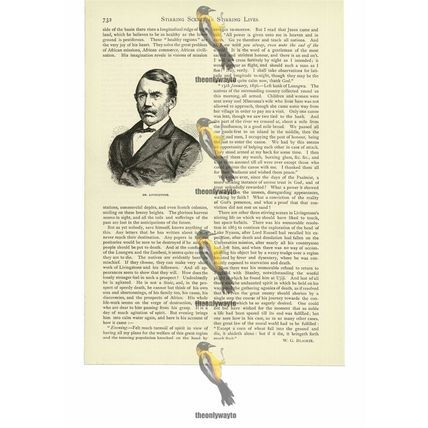 Dr Livingstone, Book Illustration (Print), 1886