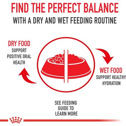 Royal Canin Adult Feline Health Nutrition Instinctive Thin Slices in Gravy Canne