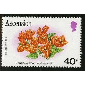 Ascension 1981 Flowers 40p Bougainvillea Unmounted Mint MNH SG 293A Sc 285 stamp