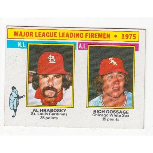1976 Topps Rich Goose Gossage baseball card #205 –White Sox