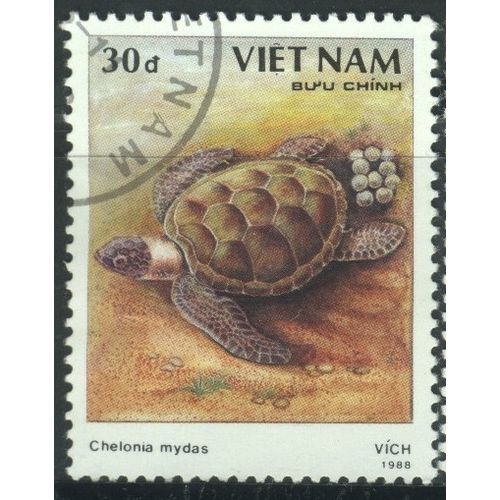 Vietnam 1988 - SG1229 - 30d multi - Indian Ocean Green Turtle - used