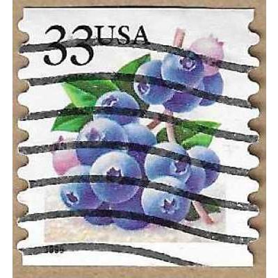 1999 Blueberries 15934